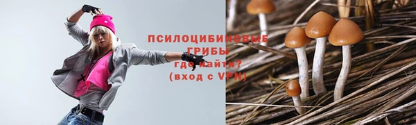 COCAINE Богородск