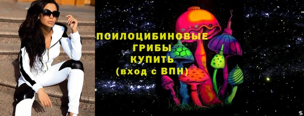 бошки Богородицк
