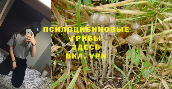 бошки Богородицк