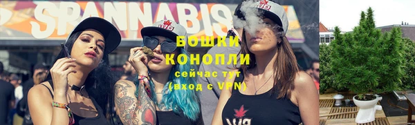 бошки Богородицк