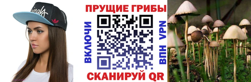Псилоцибиновые грибы ЛСД  Котельниково 